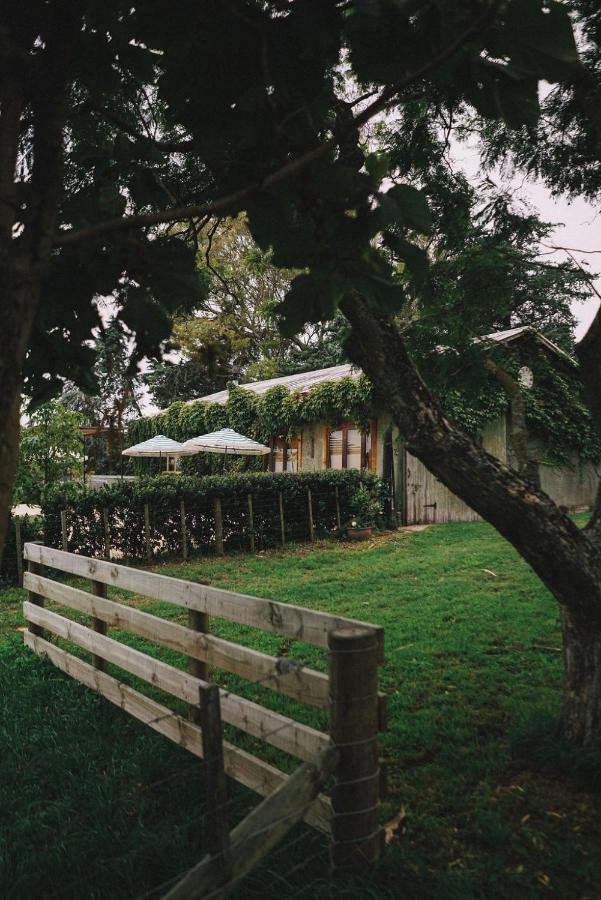 Converted Barn - Tiger House Hermitage Havelock North Buitenkant foto