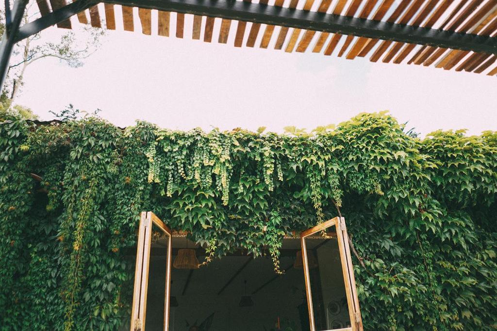 Converted Barn - Tiger House Hermitage Havelock North Buitenkant foto