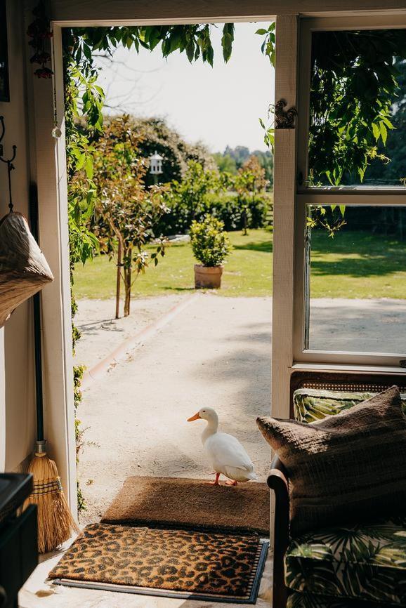 Converted Barn - Tiger House Hermitage Havelock North Buitenkant foto